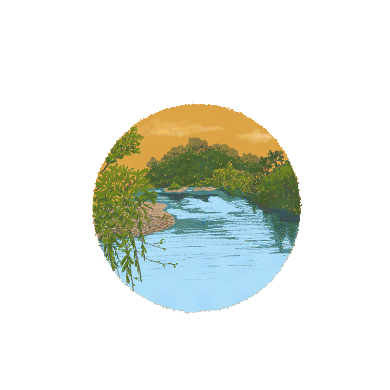 Visualarium-pagina-web-cocomasur-galeria-ilustraciones-2