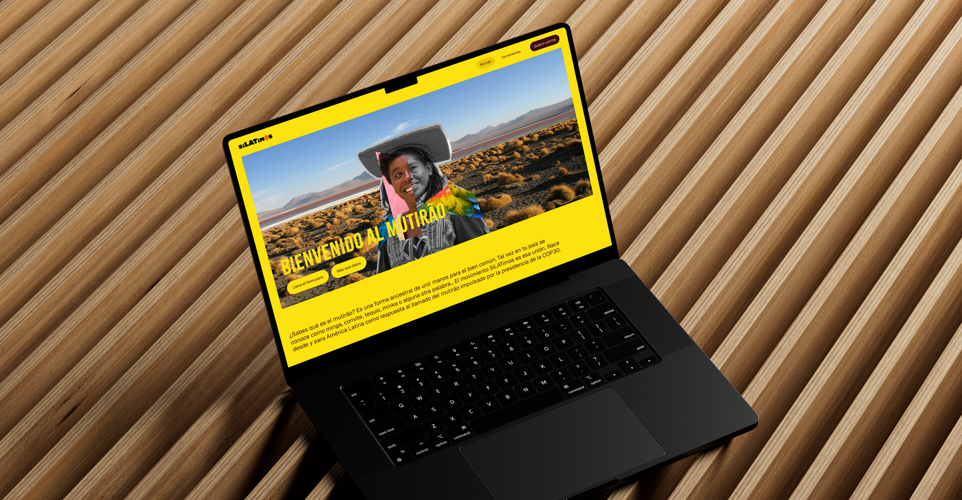 visualarium-silatimos-sitio_web-mutirao