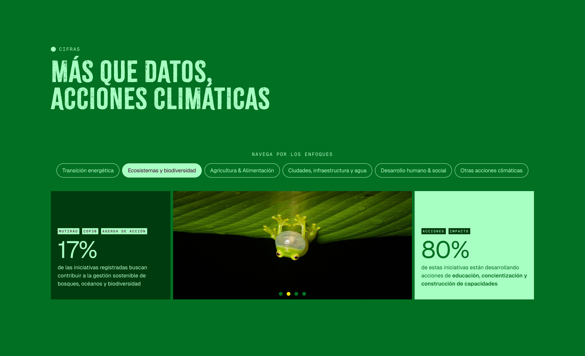 visualarium-silatimos-web-datos